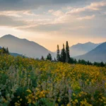 I Spent the Night Glamping in a Lavender Field in Virginia — and You’ll Want to Do the Same