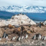 The Best Camping Gear Storage for Your Next Outdoor Adventure