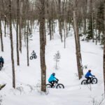 Discover Noble County, Indiana: Lakes, Trails, and Hidden Gems