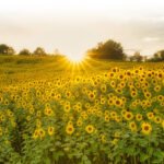 Updates Completed & Calendar Design Note